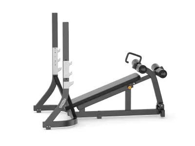 Technogym Pure Olympic Decline Bench 3D model