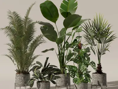 Plants collection 130 3D model