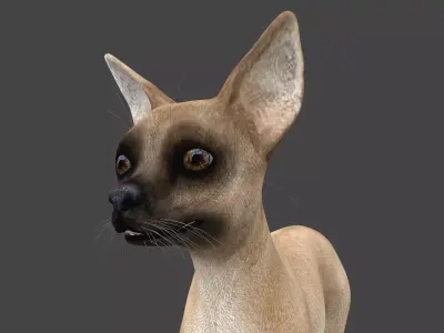 FDCW-003 Walking Animation 3D model