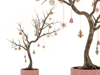 Christmas tree Dried Plant 3D model