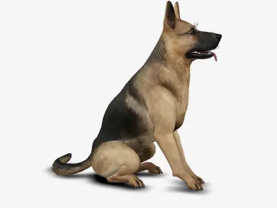 dog German Shepherd Low-poly 3D model