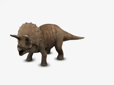 Triceratop 3D model