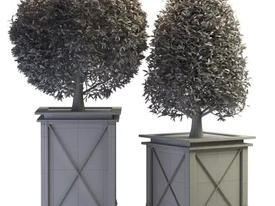 Outdoor Plant 01 3D model