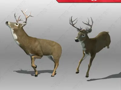 Deer whitetail Low-poly 3D model