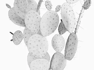 Plant 9 two cactus plants in basket 3D model