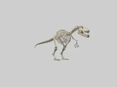 Postosuchus Skeleton model Low-poly 3D model