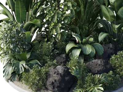 Garden Plants   Outdoor plant Collection 132 Low-poly 3D model