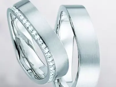 Wedding rings 234 3D print model