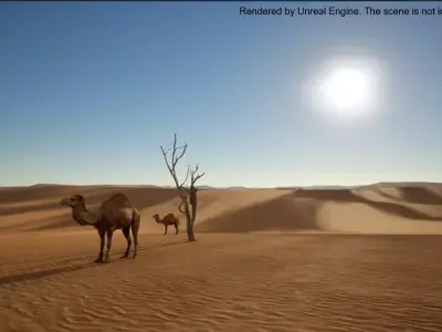 Animated Camel with Hair and Fur  Low-poly 3D model