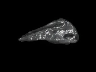 cloth simulated Low-poly 3D model