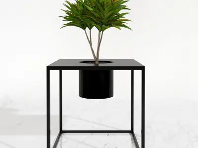Room plants 3D model