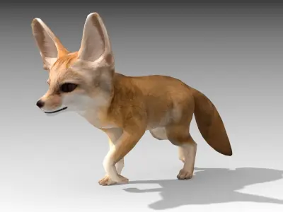 Fennec fox 3D model