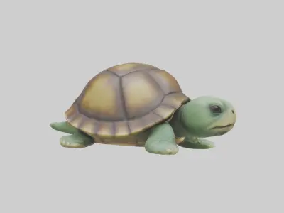 Babyturtle Model 1 Low-poly 3D model