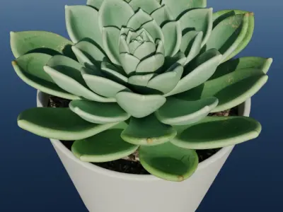 4K High Polly Pot Plants Pack 3D model