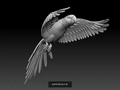 parrots 3D Model Collection