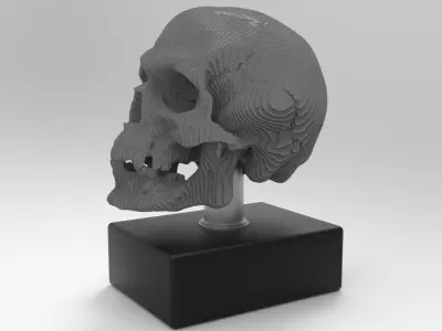 skull decoration 3D model