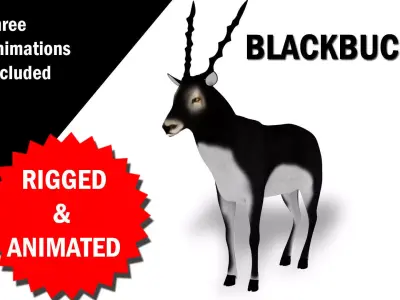 3D Blackbuck RIgged and Animated 3D model