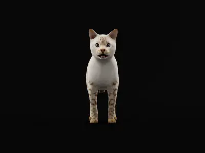 Snow Bengal Cat Low-poly 3D model