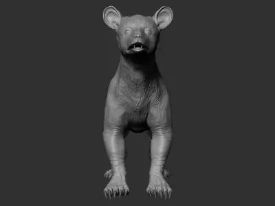 Baby Bear 3D model