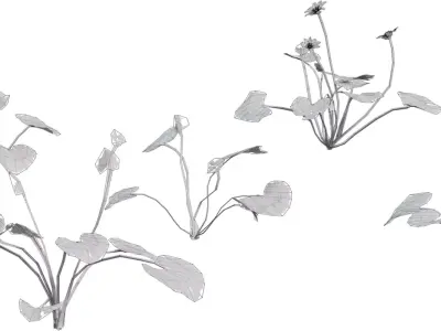 Creeping Yellow Groundcover Pack  Low-poly 3D model