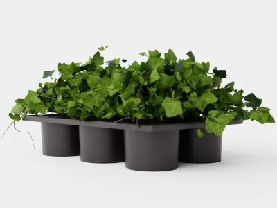 Hedera helix Low-poly 3D model
