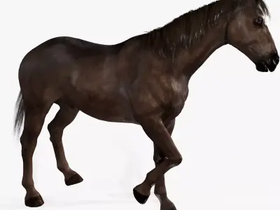 Horse Rigged Low-poly 3D model