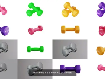 Dumbbells 1 2 3 and 4 KG 3D Model Pack
