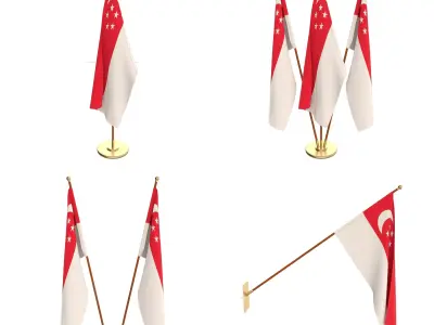 Singapore Flag Pack 3D model