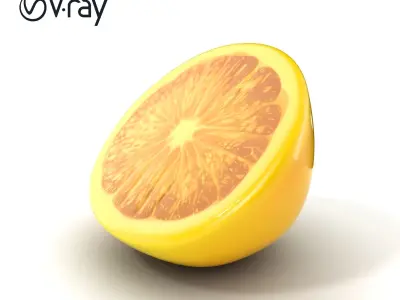 Realistic Lemon Slice model pack Low-poly 3D model