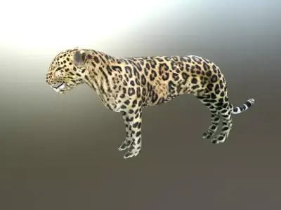 LEOPARD LOWPOLY jaguar Low-poly 3D model