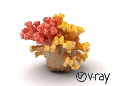 Colorful Coral Reef Cluster model pack Low-poly 3D model
