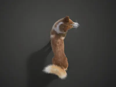 Chinese Rural Dog Animated VFX Grace 3D model