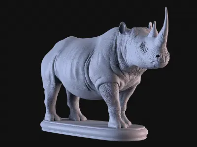 Rhino 3D print model