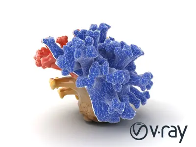 Colorful Coral Reef Cluster model pack Low-poly 3D model