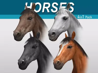 Horses 4 in 1 Bundle 3D model