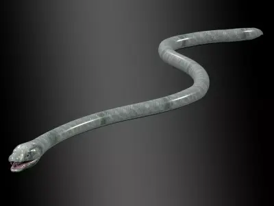 Black Mamba Snake Rig 3D model