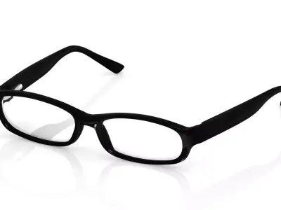 Eyeglasses for Men and Women 3D print model
