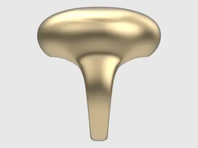 Signet Training Ring JDBCo 3D print model