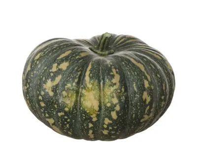 Photoscanned Kent Pumpkin Low-poly 3D model