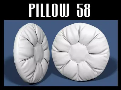 Pillow 58 3D model