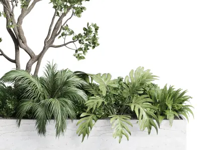 Stand plant in box garden indoor plant 130 3D model