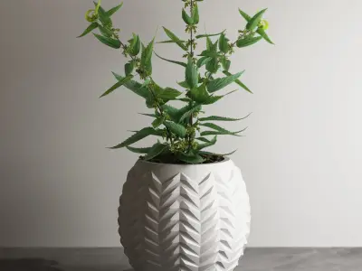 pot collection a09 5 pots