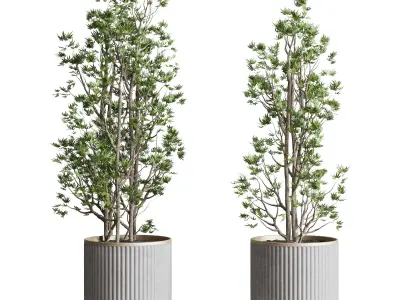 Indoor plant set 368 concrete vase plant tree shrub Low-poly 3D model