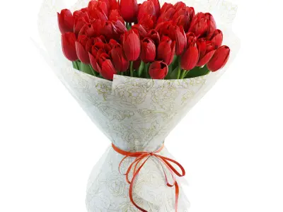Flower Set 30 - Red Tulips Bouquet 3D model