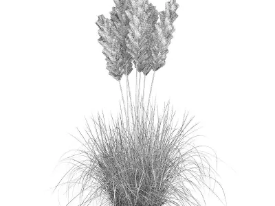 Ornamental Grass 3D model