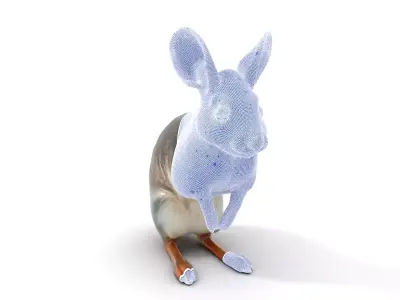 Bushytailed Bilby model pack Low-poly 3D model