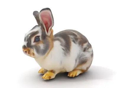 Fluffy Brown Bunny model pack Low-poly 3D model