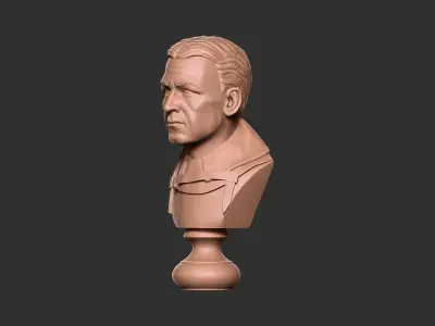Ernest Shackleton Bust - 3D Print Model 3D print model