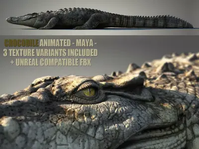 Crocodile ANIMATED 3D model