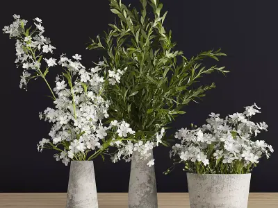 Plants Set three concrete vases with flowers 3D model